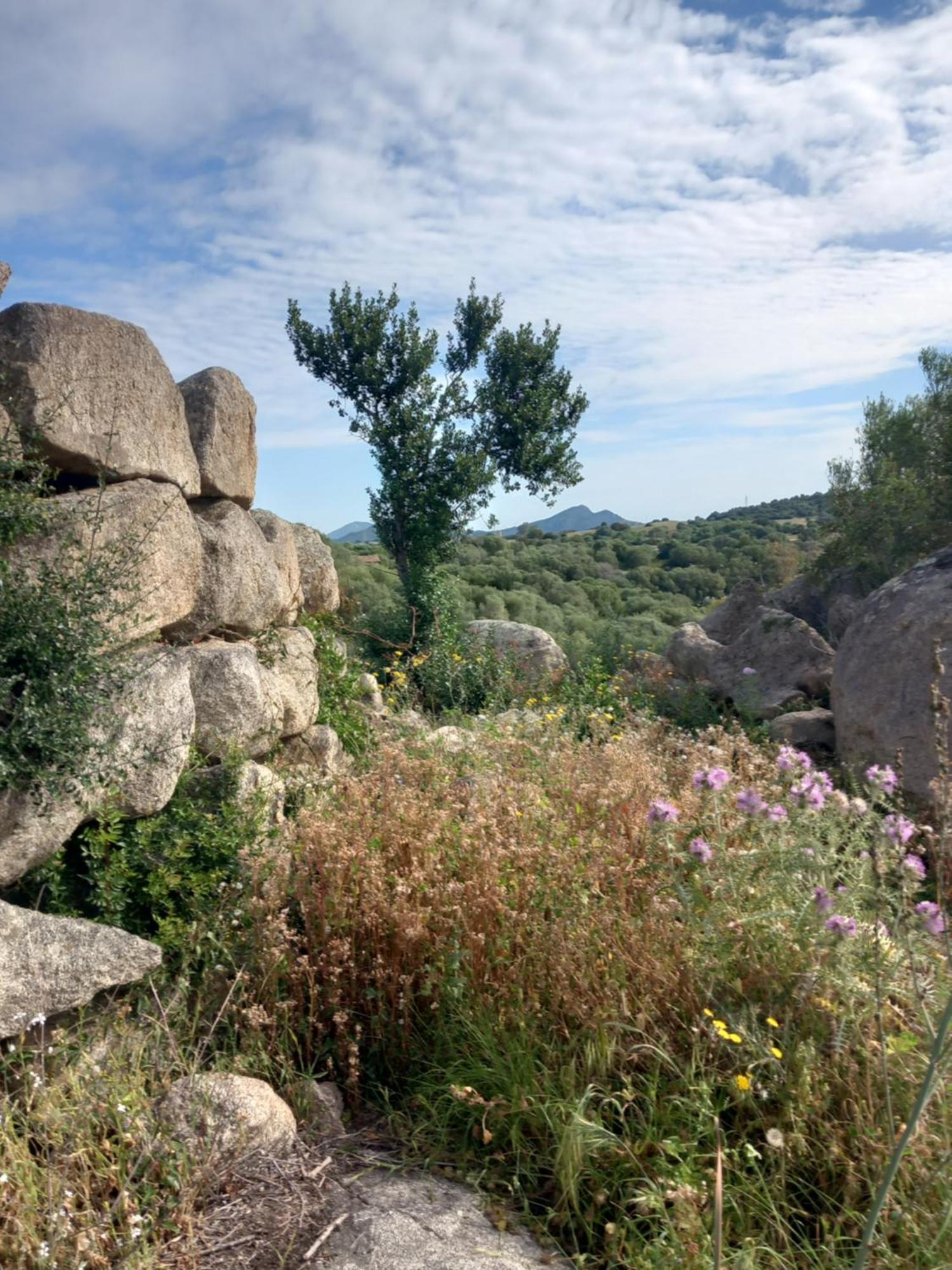 Beth La Casa Della Luna Annunziata  Luaran gambar
